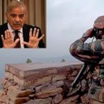 WhatsApp Image 2025-04-27 at 11.06.51