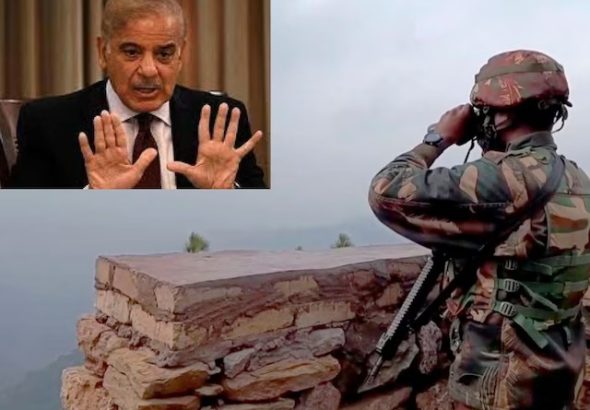 WhatsApp Image 2025-04-27 at 11.06.51