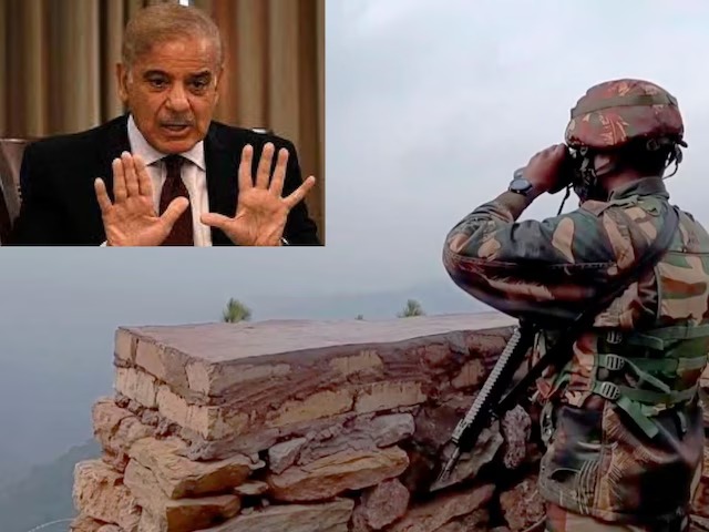 WhatsApp Image 2025-04-27 at 11.06.51