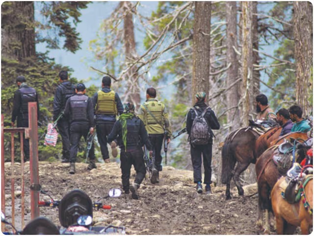 WhatsApp Image 2025-04-27 at 11.09.12